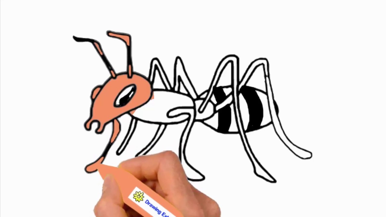 1280x720 ant drawing how to draw an ant for kids ant drawing lesson step - Ant Drawing For Kids