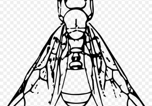 300x210 Ant Line Drawing Ants Clipart Sketch Free For Download On Rpelm - Ant Line Drawing