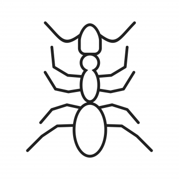 360x360 Ant Line Png Images Vectors And Free Download - Ant Line Drawing
