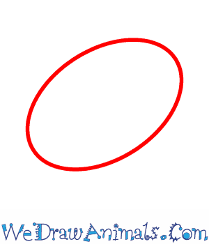 300x350 How To Draw An Ant - Ant Line Drawing