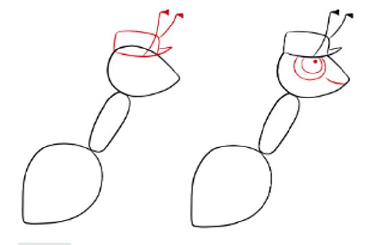 750x500 How To Draw An Ant Cartoon, Realistic For Kindergarten - Ant Line Drawing