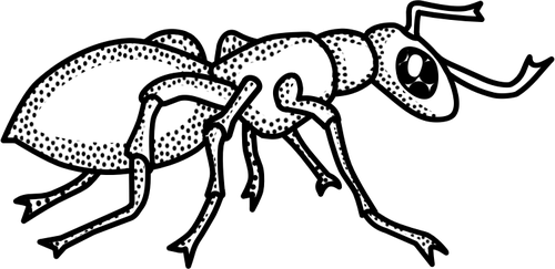 500x243 Vector Drawing Of Black And White Spotty Ant - Ant Line Drawing