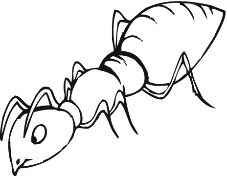 464x360 ant drawing for kids - Ant Line Drawing
