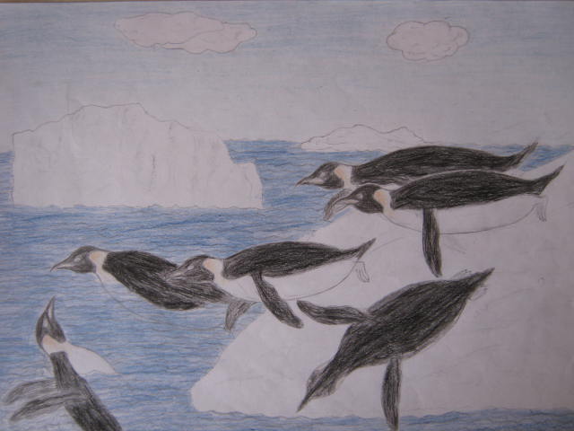 640x480 Drawing Images A Picture From Antarctica Wallpaper And Background - Antarctica Drawing