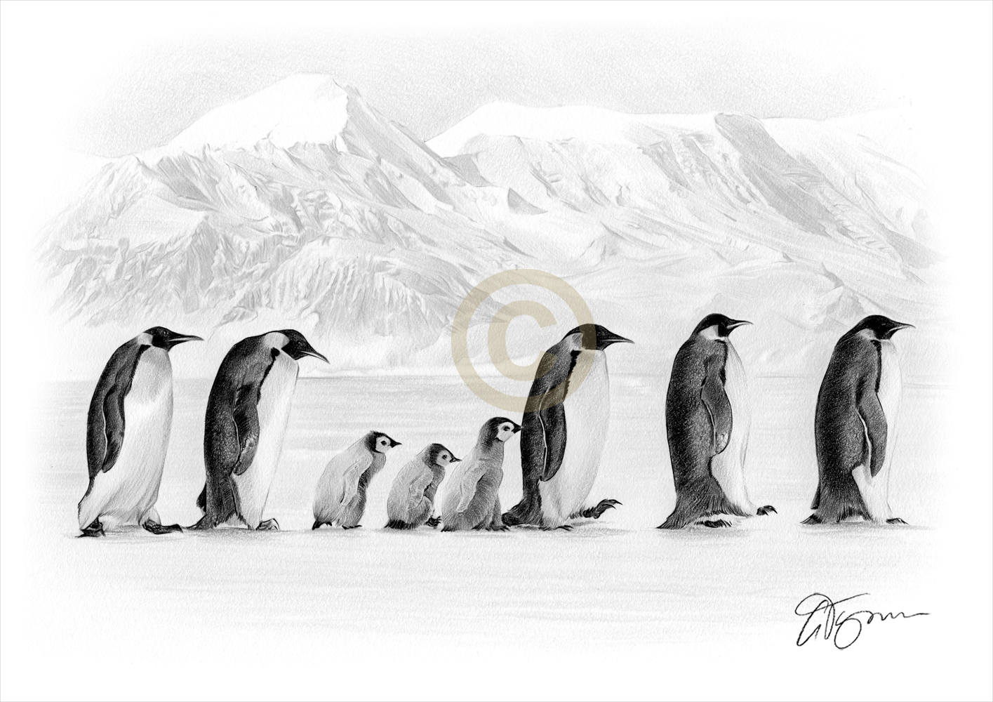 Antarctica Drawing at Explore collection of