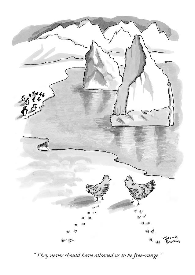 638x900 They Never Should Have Allowed Drawing - Antarctica Drawing