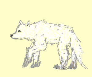 300x250 White Wolf In Antarctica Drawing - Antarctica Drawing