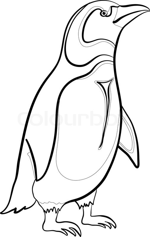507x800 antarctic emperor penguin, black stock vector colourbox - Antarctica Drawing