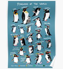 210x230 Antarctica Drawing Posters Redbubble - Antarctica Drawing