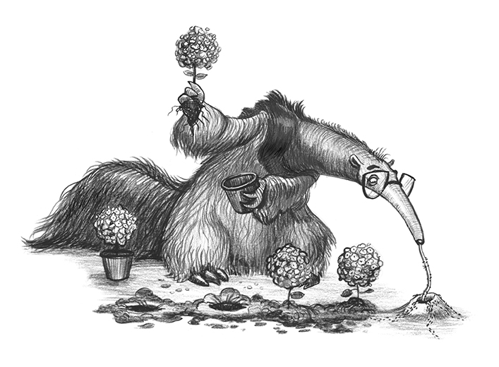 707x520 Katy Betz Studio A Is For Anteater - Anteater Drawing