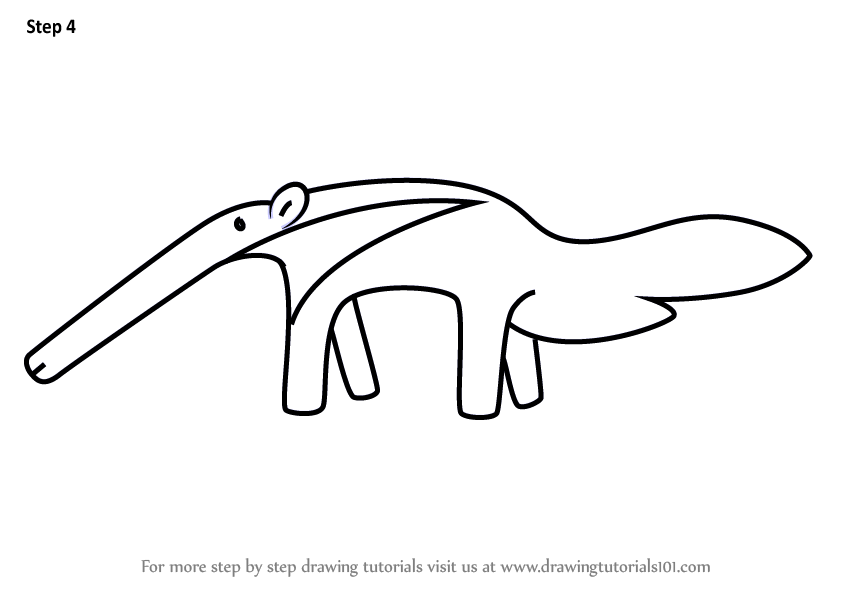 844x598 Learn How To Draw Boat An Anteater For Kids - Anteater Drawing