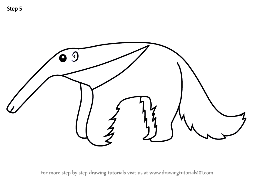 844x598 Learn How To Draw A Cartoon Anteater - Anteater Drawing