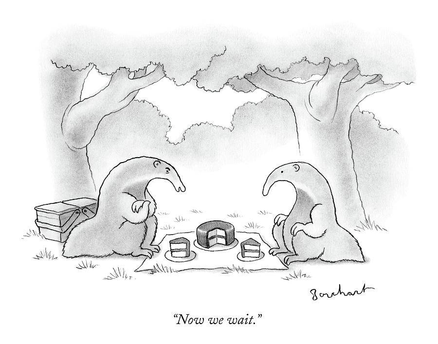 900x707 two anteaters on a picnic wait for ants to come drawing - Anteater Drawing