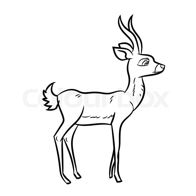 800x800 Hand Drawn Sketch Of Antelope Stock Vector Colourbox - Antelope Drawing