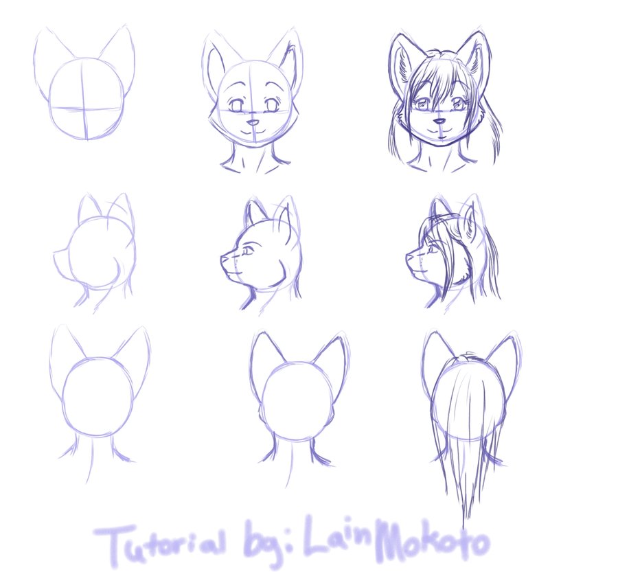 Cool Anthro Furry Drawing Reference | Invisible Blogger