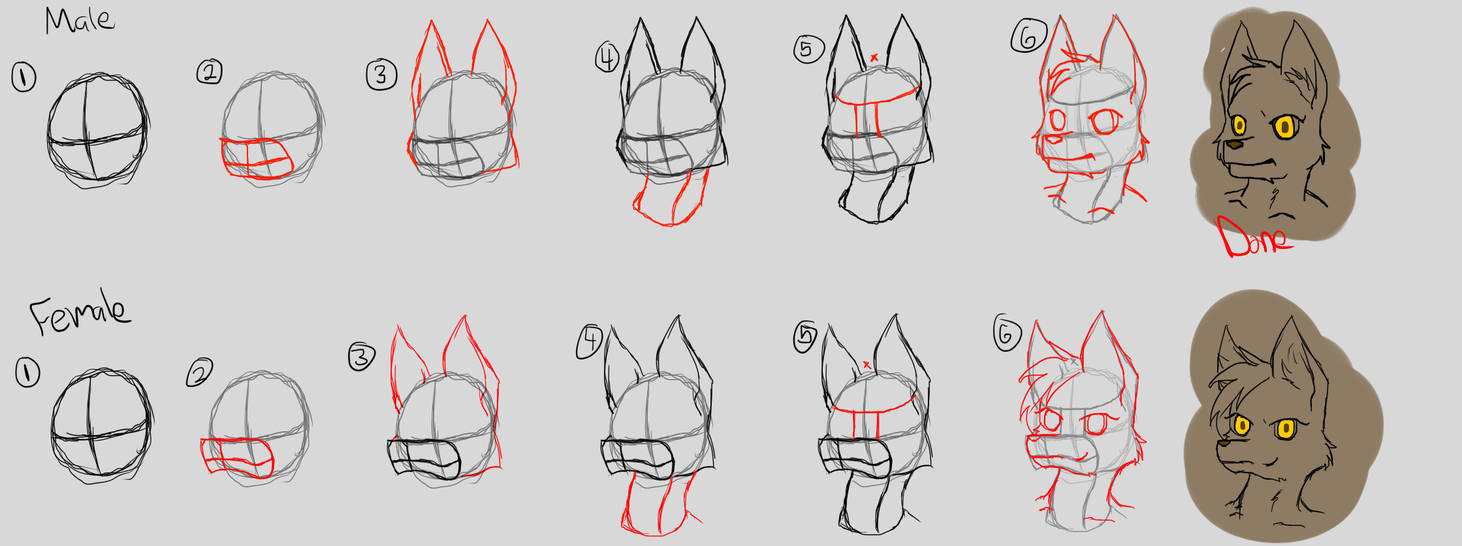 How To Draw Furry