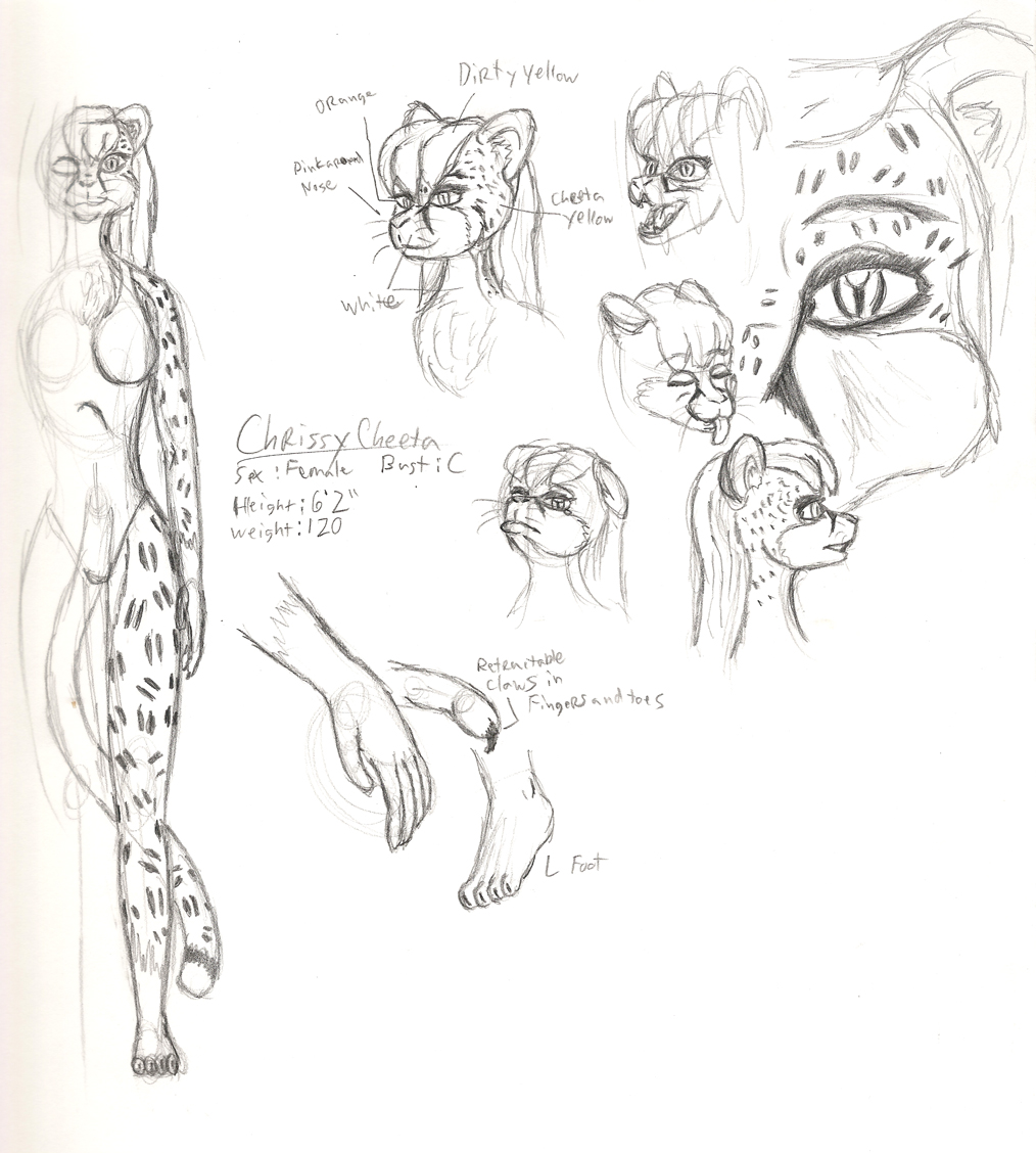 1014x1128 other anthro drawings - Anthro Drawing