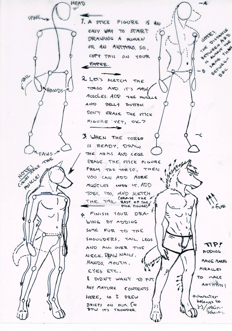 748x1067 tutorial male wolf anthro - Anthro Drawing