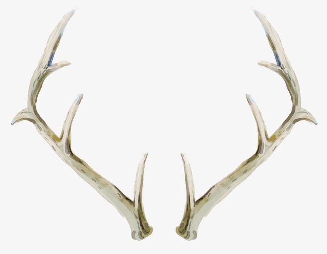 650x505 drawing antlers, hand painted antlers, antlers, brown antlers png - Antlers Drawing