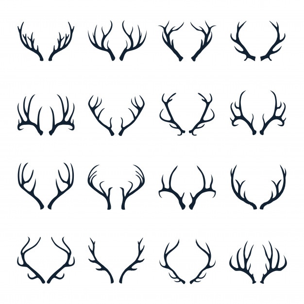 626x626 moose antlers vectors, photos and free download - Antlers Drawing