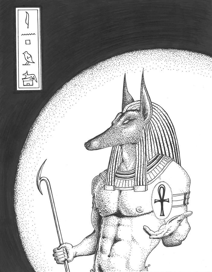 703x900 Anubis Drawing - Anubis Drawing