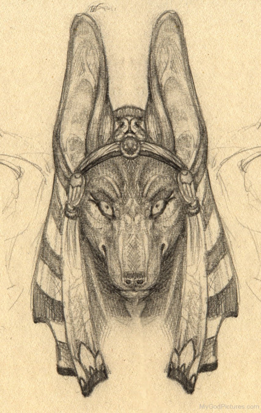 854x1352 Drawing Of God Anubis - Anubis Drawing