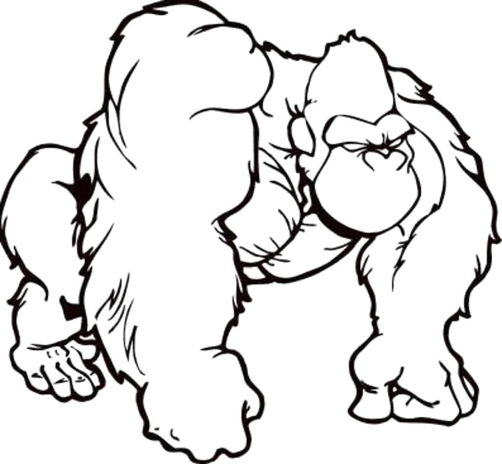 1024x947 gorilla drawing free download - Ape Drawing