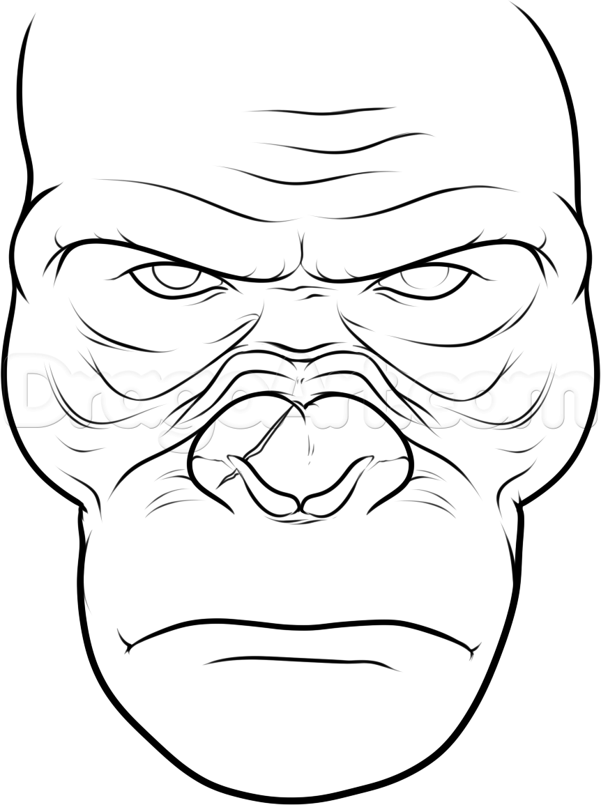 862x1155 how to draw koba from rise of the planet of the apes, step - Ape Drawing