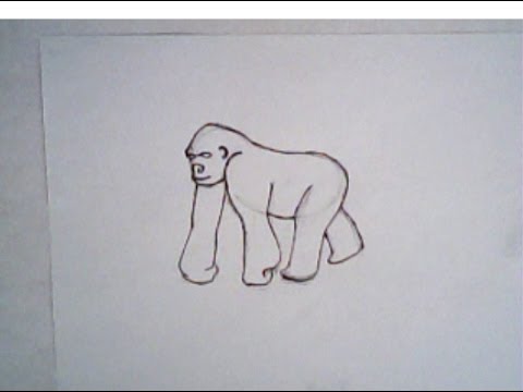 480x360 how to draw an ape - Ape Drawing