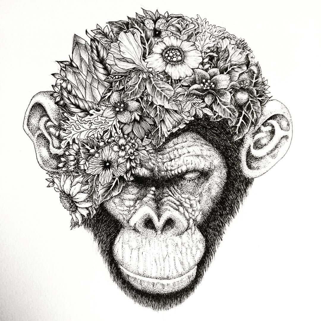 1080x1080 my latest drawing botanical chimpanzee - Ape Drawing