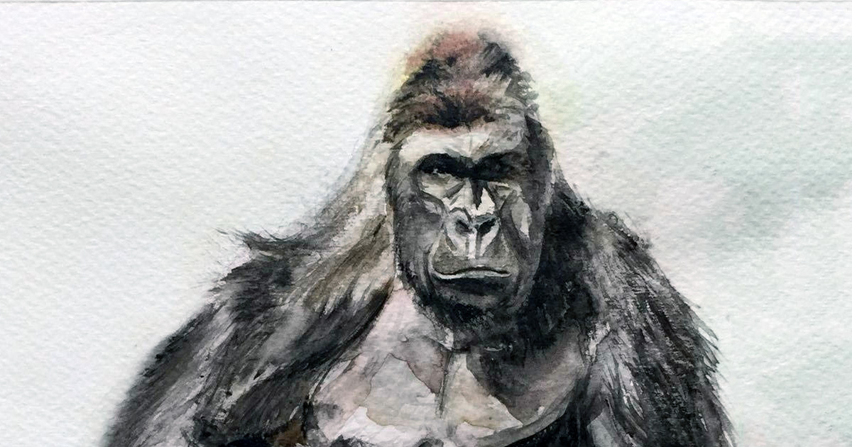 1200x630 ape hero round croeni foundation - Ape Drawing