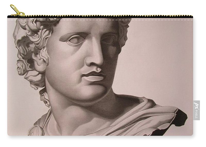 800x570 apollo bust drawing carry all pouch for sale - Apollo Drawing
