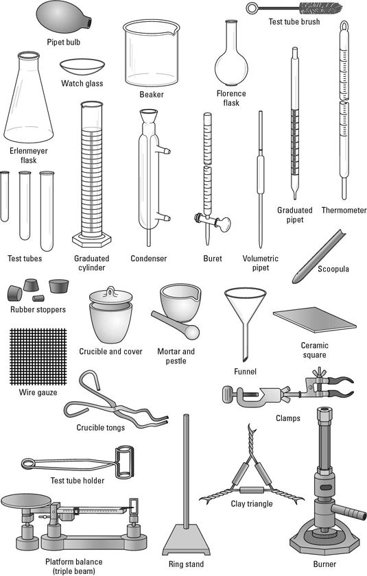 535x840 diagram of common lab equipment, such as an erlenmeyer flask - Apparatus Drawing