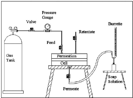 445x328 Schematic Drawing Of A Gas Permeation Apparatus Download - Apparatus Drawing