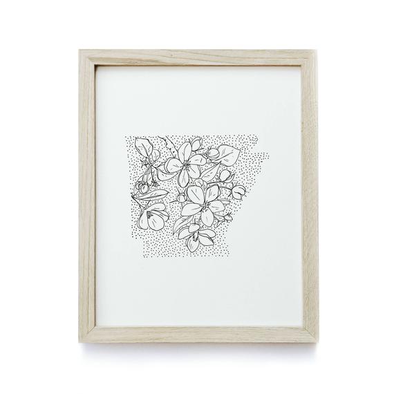 570x570 Arkansas Apple Blossom State Flower Drawing Giclee Etsy - Apple Blossom Drawing