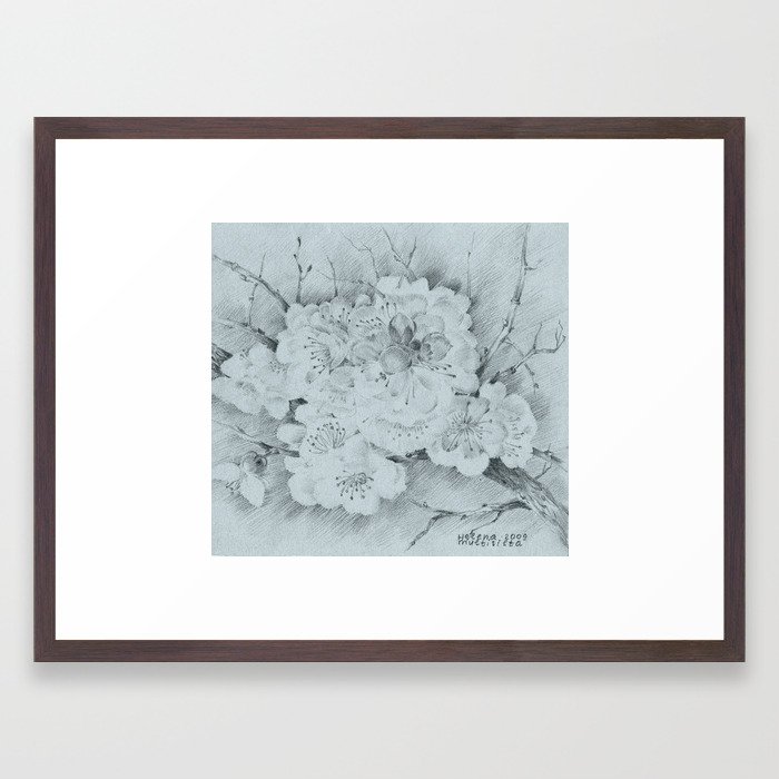 700x700 Pencil Drawing Of Apple Blossom Framed Art Print - Apple Blossom Drawing