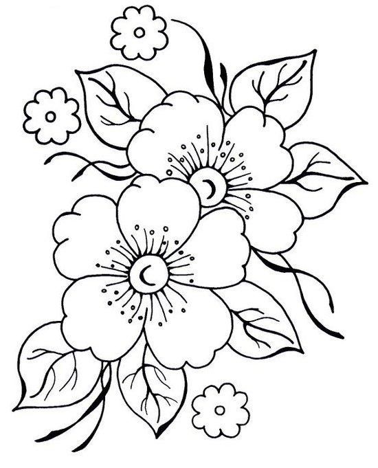 550x681 apple blossom artwork embroidery, embroidery patterns, pattern - Apple Blossom Drawing