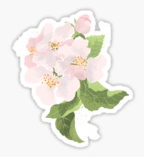 210x230 Apple Blossom Drawing Stickers Redbubble - Apple Blossom Drawing