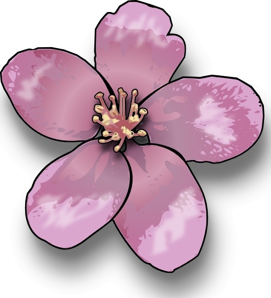 540x594 Apple Blossom Clip Art Free Vector In Open Office Drawing - Apple Blossom Drawing