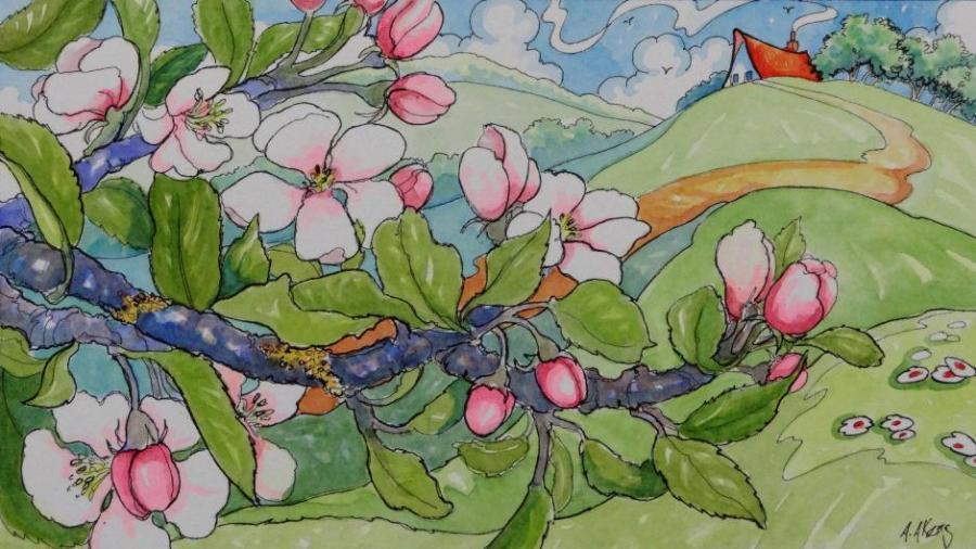 900x506 Apple Blossom Flowers Drawings Pictures Drawings Ideas - Apple Blossom Drawing