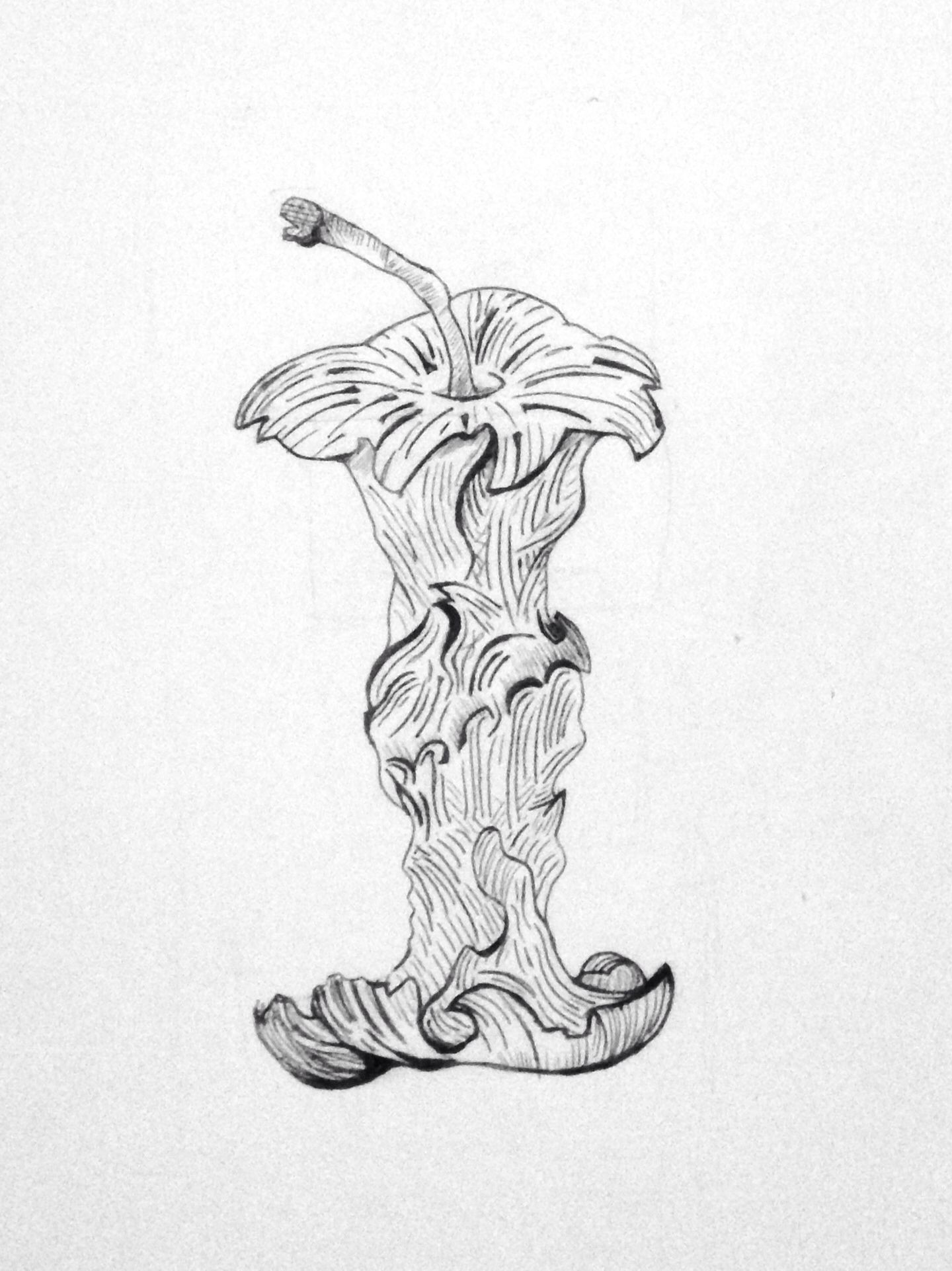 Apple Core Drawing at Explore collection of Apple