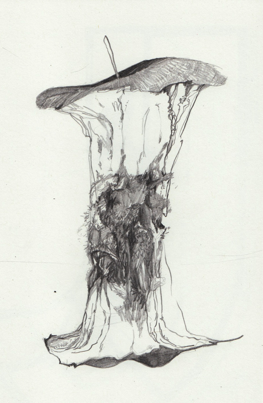 907x1386 Moldy Apple Core Lizz Desimone - Apple Core Drawing