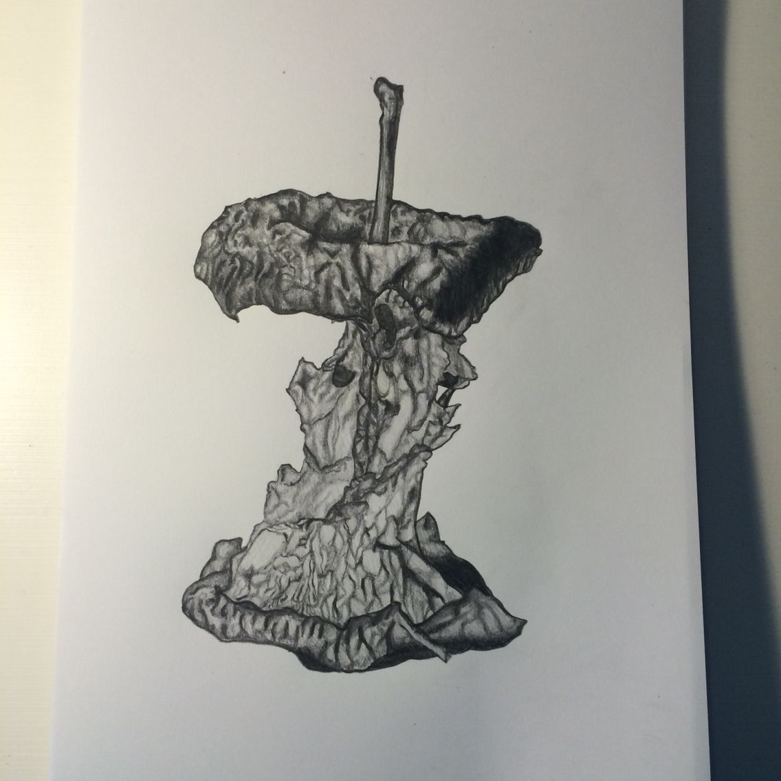 1136x1136 Pencil Drawing Of An Apple Core Drawing - Apple Core Drawing