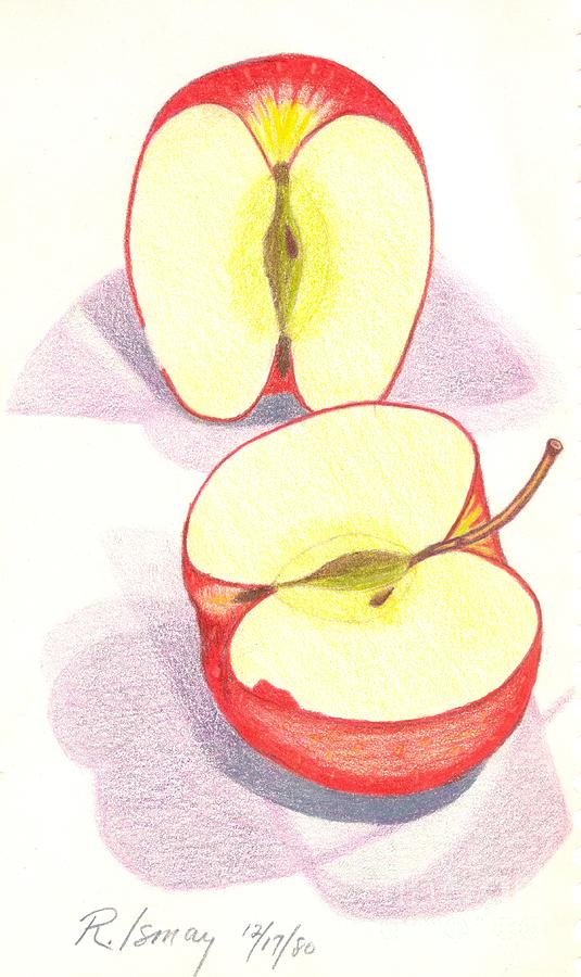 535x900 Cut Apple Drawing - Apple Drawing