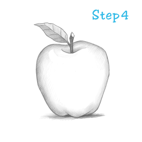 500x500 How To Draw An Apple - Apple Drawing
