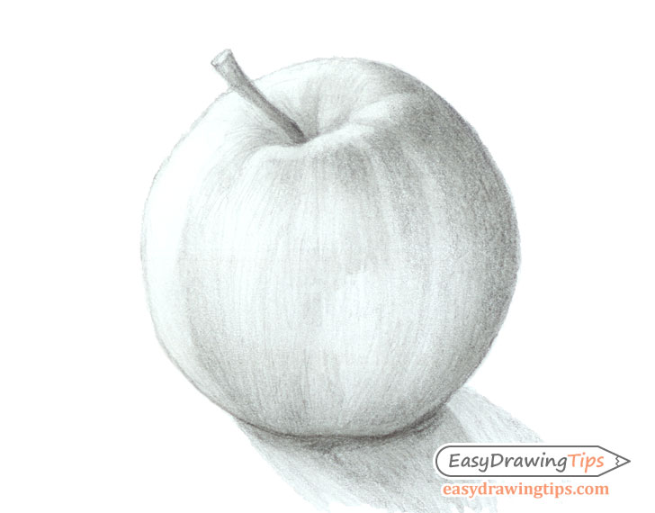 728x570 How To Draw An Apple Tutorial Step - Apple Drawing