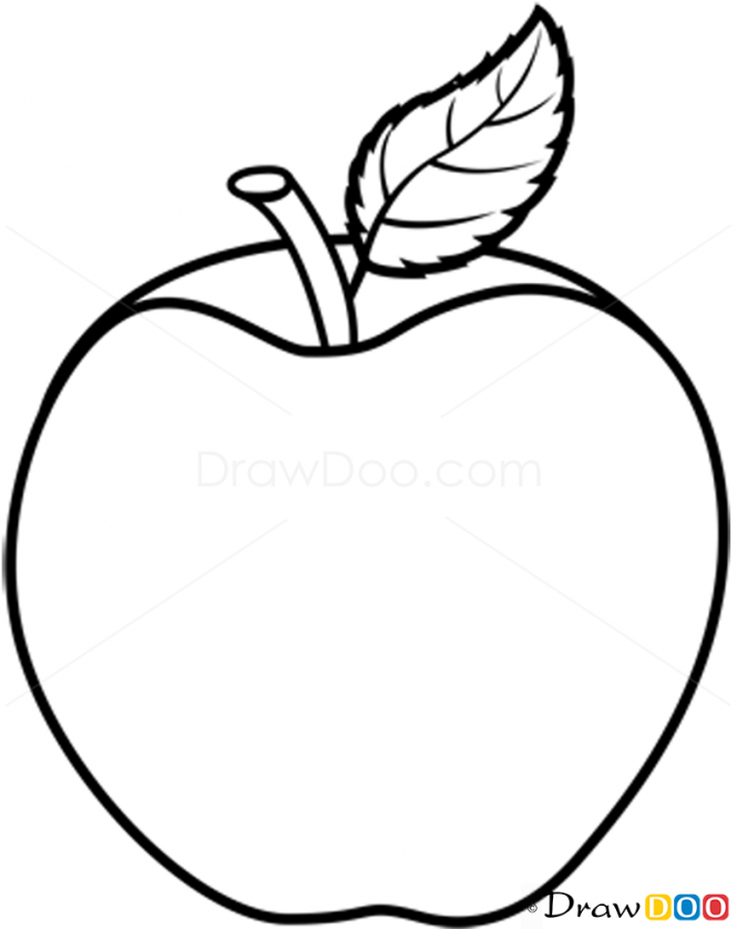 Apple Outline Drawing at Explore collection of