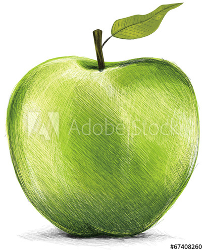 406x500 Green Apple Drawing - Apple Drawing Images