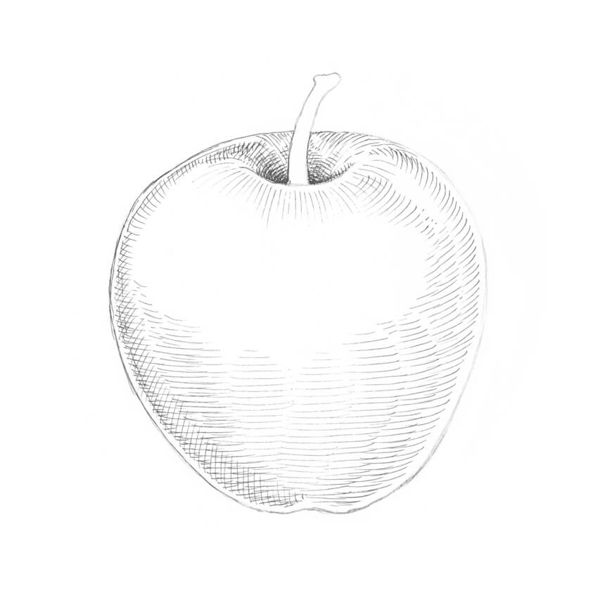 850x840 How To Draw An Apple - Apple Drawing Images