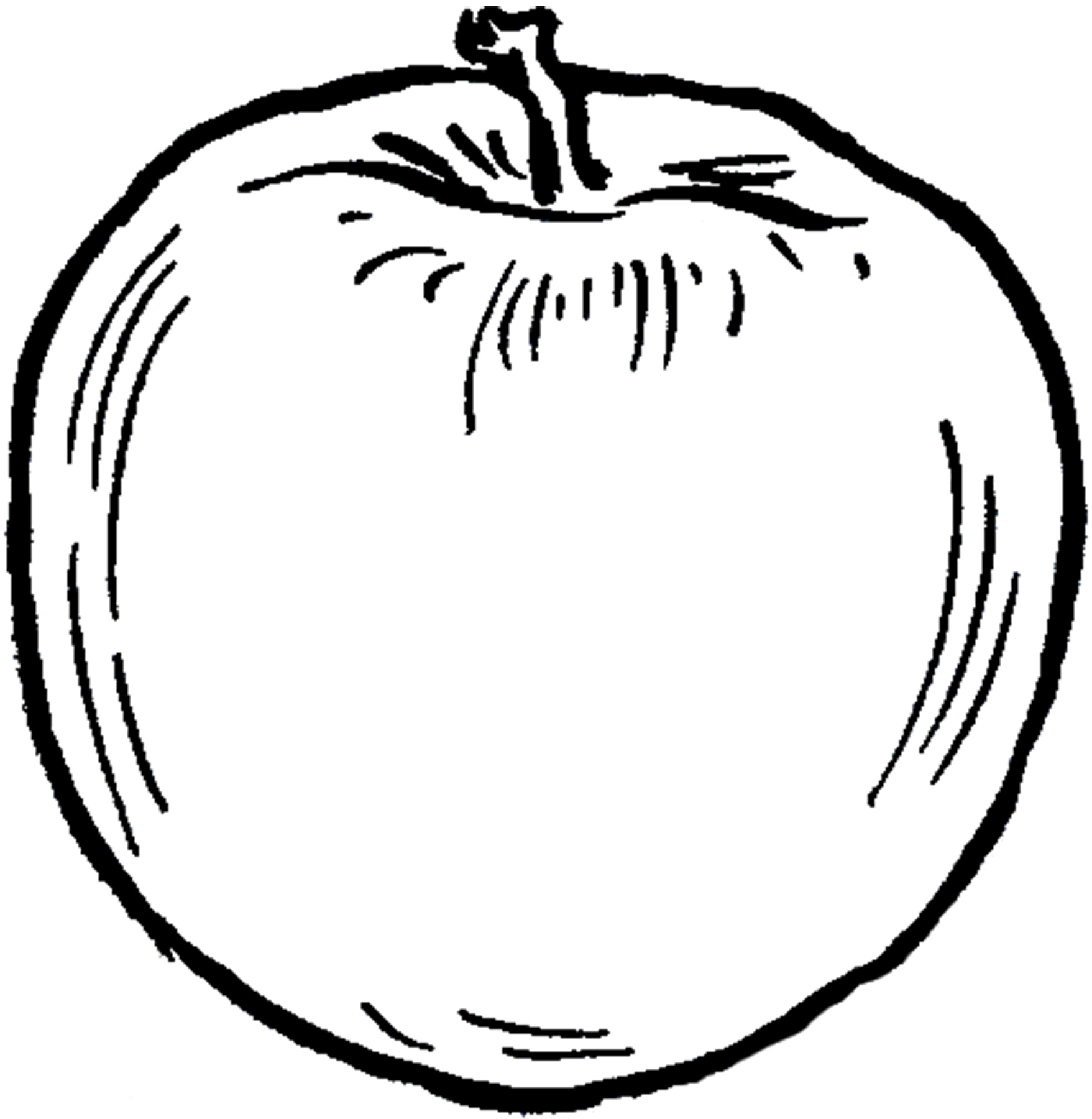 1757x1800 Vintage Apple Line Drawing Image! - Apple Drawing Images